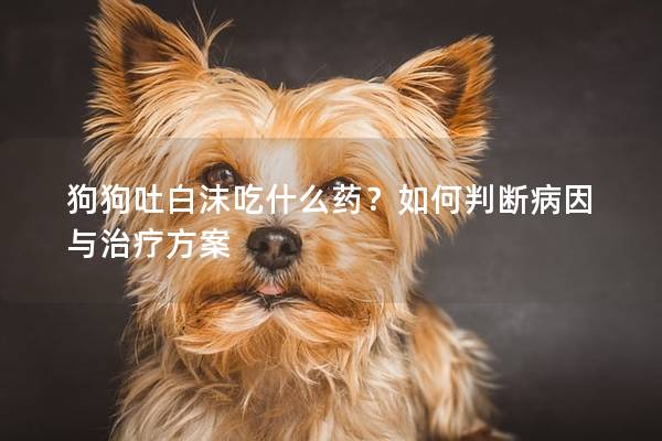 狗狗吐白沫吃什么药？如何判断病因与治疗方案