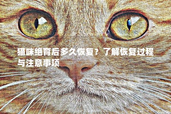 猫咪绝育后多久恢复？了解恢复过程与注意事项