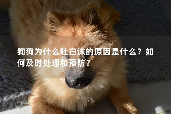 狗狗为什么吐白沫的原因是什么？如何及时处理和预防？