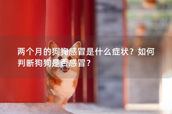 两个月的狗狗感冒是什么症状？如何判断狗狗是否感冒？