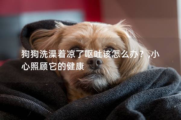 狗狗洗澡着凉了呕吐该怎么办？,小心照顾它的健康