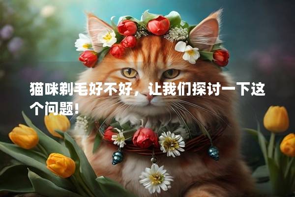 猫咪剃毛好不好，让我们探讨一下这个问题!