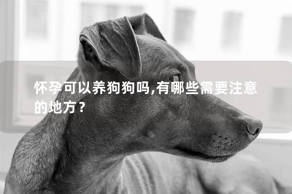 怀孕可以养狗狗吗,有哪些需要注意的地方？