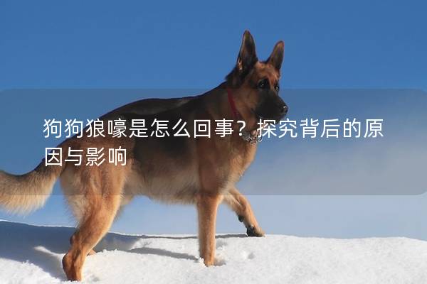 狗狗狼嚎是怎么回事？探究背后的原因与影响