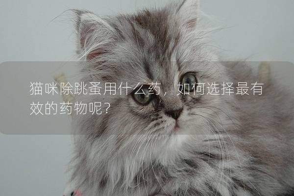 猫咪除跳蚤用什么药，如何选择最有效的药物呢？