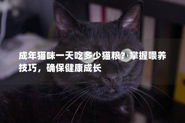 成年猫咪一天吃多少猫粮？掌握喂养技巧，确保健康成长