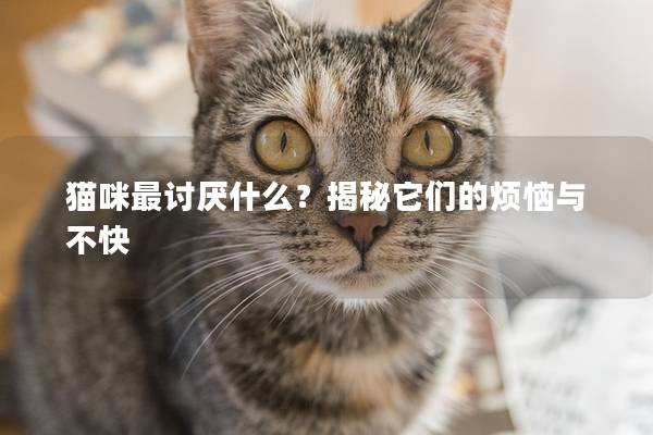 猫咪最讨厌什么？揭秘它们的烦恼与不快