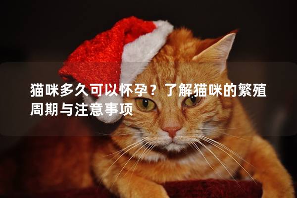 猫咪多久可以怀孕？了解猫咪的繁殖周期与注意事项