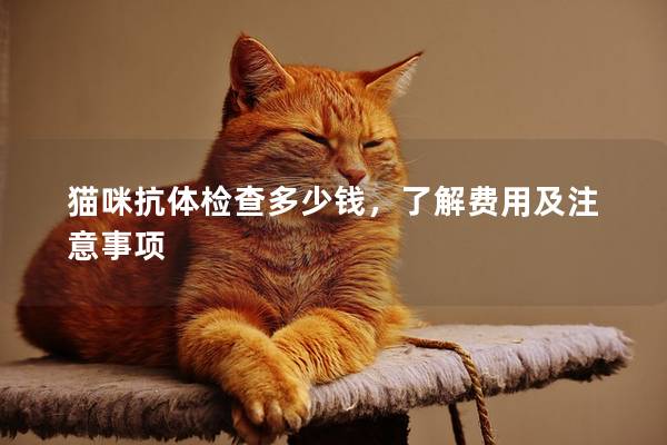 猫咪抗体检查多少钱，了解费用及注意事项