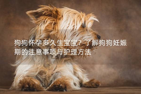 狗狗怀孕多久生宝宝？了解狗狗妊娠期的注意事项与护理方法