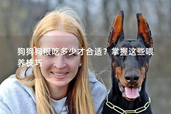 狗狗狗粮吃多少才合适？掌握这些喂养技巧