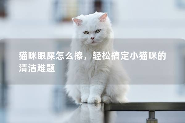 猫咪眼屎怎么擦，轻松搞定小猫咪的清洁难题