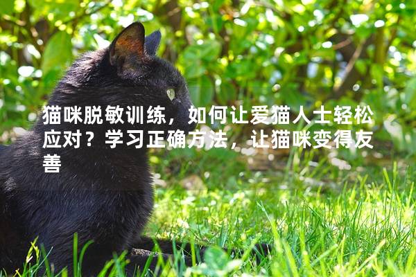 猫咪脱敏训练，如何让爱猫人士轻松应对？学习正确方法，让猫咪变得友善