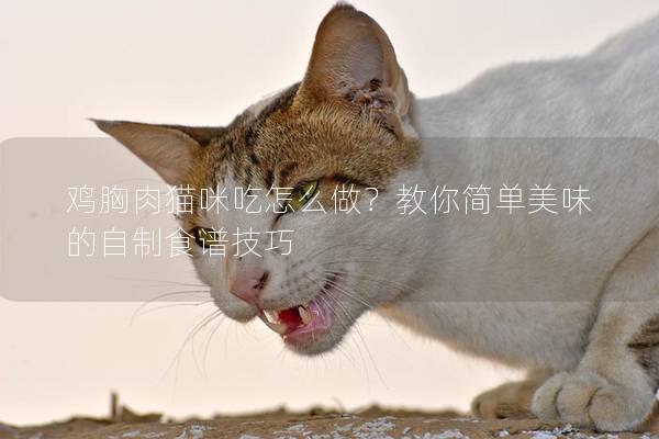 鸡胸肉猫咪吃怎么做？教你简单美味的自制食谱技巧