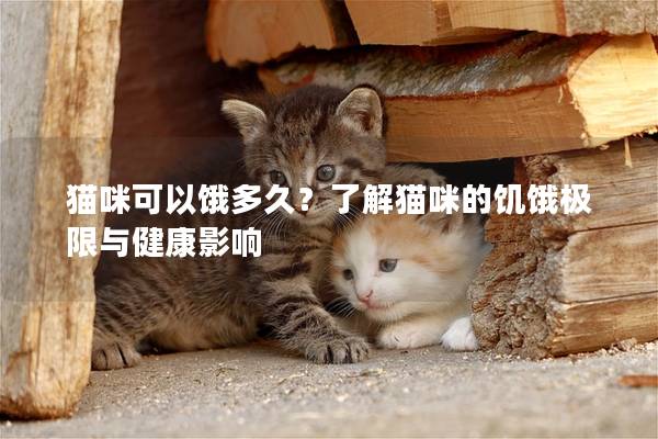 猫咪可以饿多久？了解猫咪的饥饿极限与健康影响