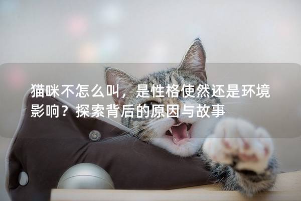 猫咪不怎么叫，是性格使然还是环境影响？探索背后的原因与故事