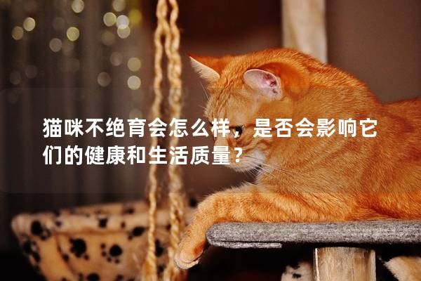 猫咪不绝育会怎么样，是否会影响它们的健康和生活质量？