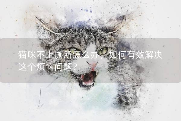 猫咪不上厕所怎么办，如何有效解决这个烦恼问题？