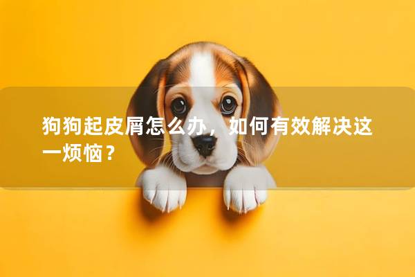 狗狗起皮屑怎么办，如何有效解决这一烦恼？