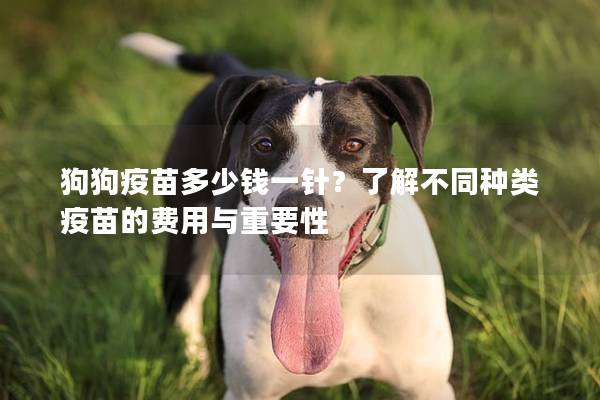 狗狗疫苗多少钱一针？了解不同种类疫苗的费用与重要性