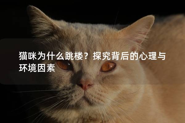 猫咪为什么跳楼？探究背后的心理与环境因素