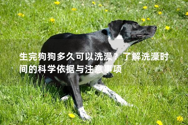 生完狗狗多久可以洗澡？了解洗澡时间的科学依据与注意事项