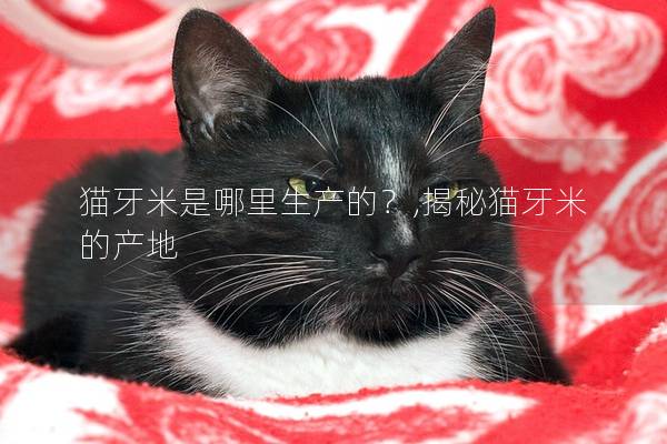 猫牙米是哪里生产的？,揭秘猫牙米的产地