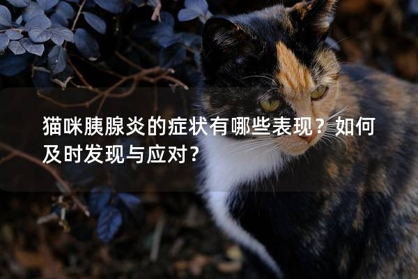 猫咪胰腺炎的症状有哪些表现？如何及时发现与应对？