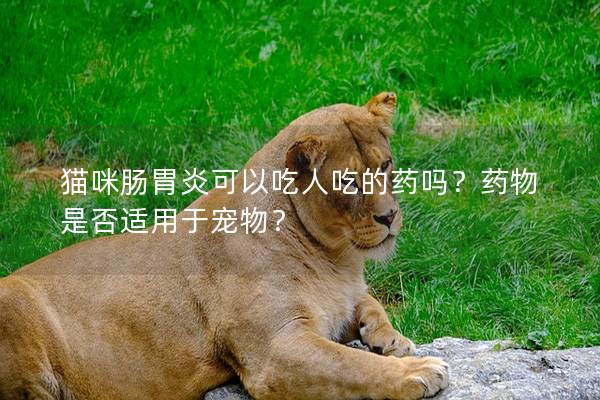 猫咪肠胃炎可以吃人吃的药吗？药物是否适用于宠物？