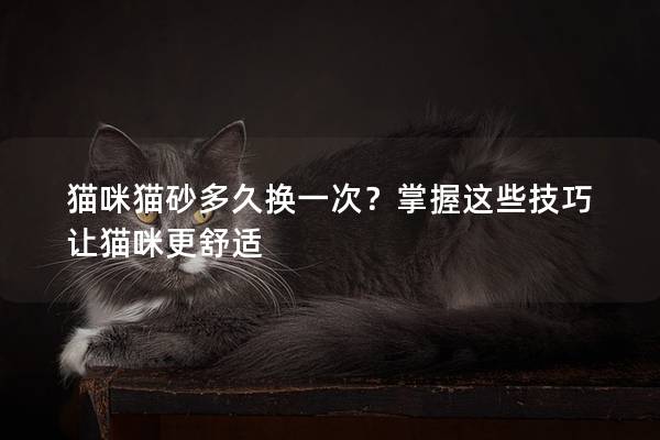 猫咪猫砂多久换一次？掌握这些技巧让猫咪更舒适