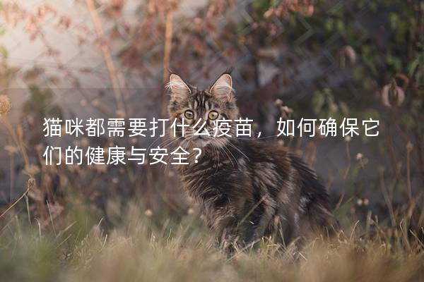 猫咪都需要打什么疫苗，如何确保它们的健康与安全？