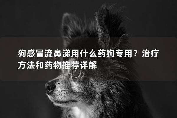 狗感冒流鼻涕用什么药狗专用？治疗方法和药物推荐详解