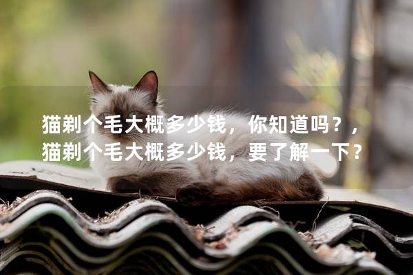 猫剃个毛大概多少钱，你知道吗？,猫剃个毛大概多少钱，要了解一下？