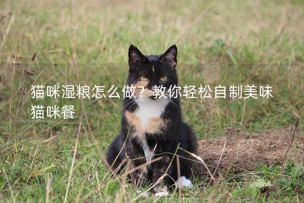 猫咪湿粮怎么做？教你轻松自制美味猫咪餐