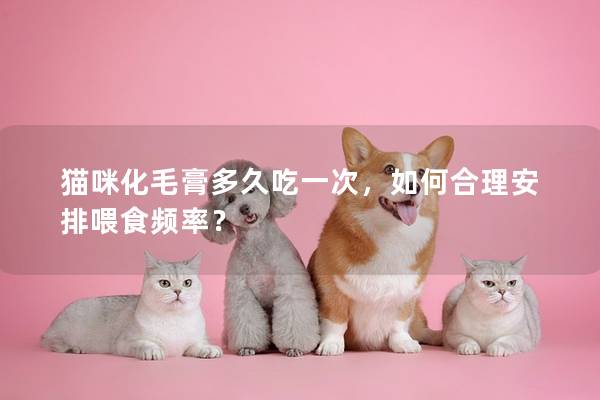 猫咪化毛膏多久吃一次，如何合理安排喂食频率？