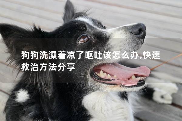 狗狗洗澡着凉了呕吐该怎么办,快速救治方法分享