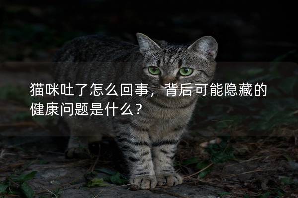 猫咪吐了怎么回事，背后可能隐藏的健康问题是什么？