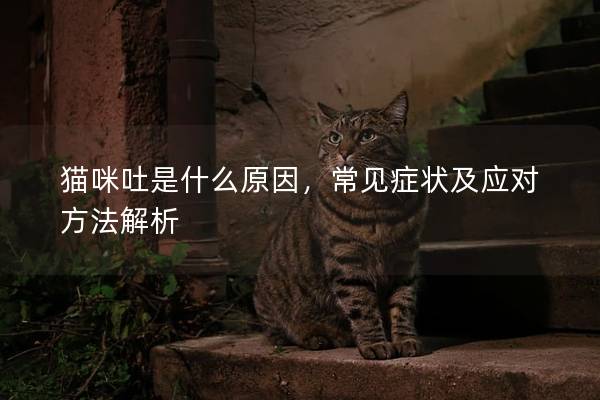 猫咪吐是什么原因，常见症状及应对方法解析