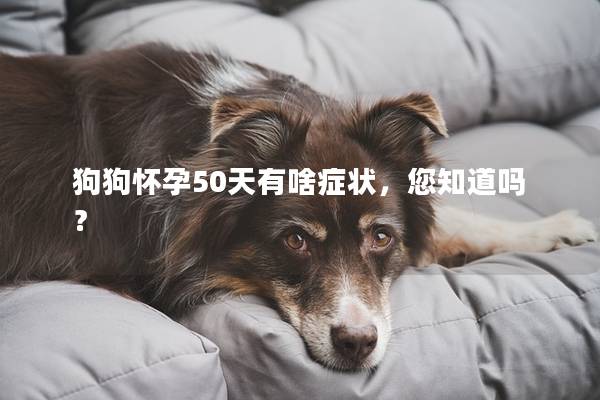 狗狗怀孕50天有啥症状，您知道吗？