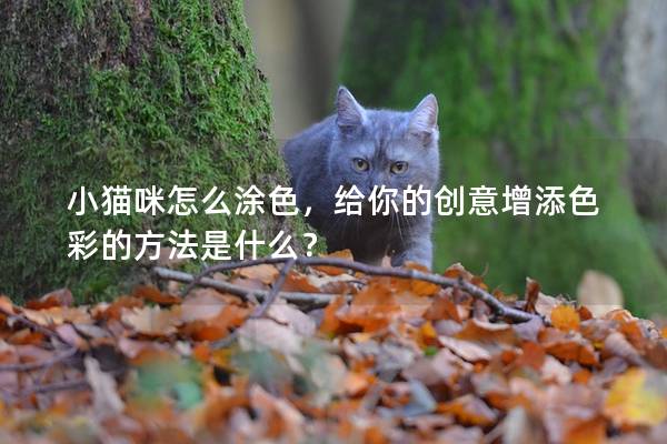 小猫咪怎么涂色，给你的创意增添色彩的方法是什么？