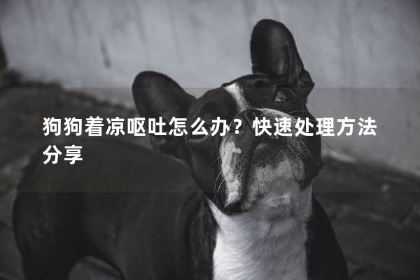 狗狗着凉呕吐怎么办？快速处理方法分享