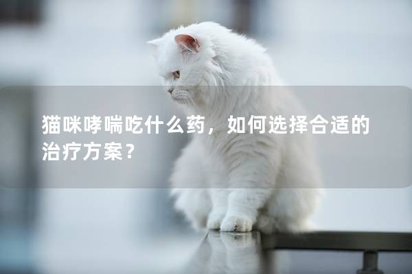 猫咪哮喘吃什么药，如何选择合适的治疗方案？