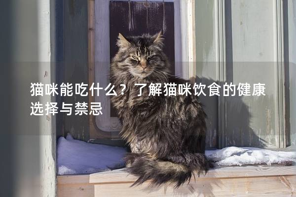 猫咪能吃什么？了解猫咪饮食的健康选择与禁忌