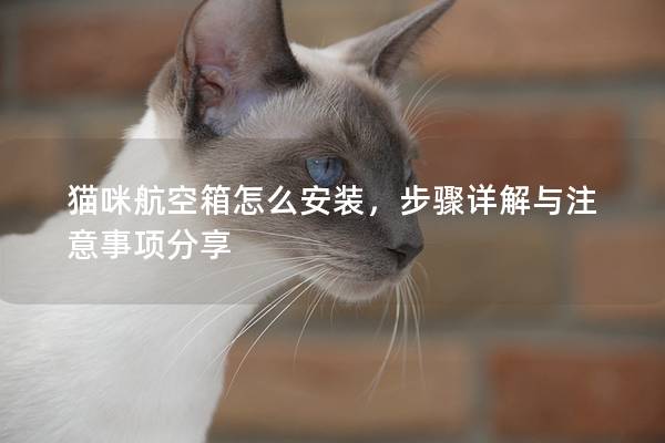 猫咪航空箱怎么安装，步骤详解与注意事项分享