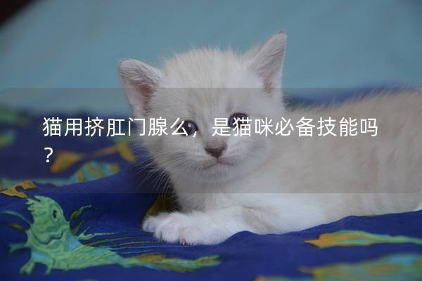 猫用挤肛门腺么，是猫咪必备技能吗？