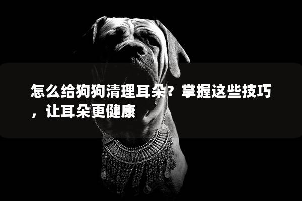 怎么给狗狗清理耳朵？掌握这些技巧，让耳朵更健康