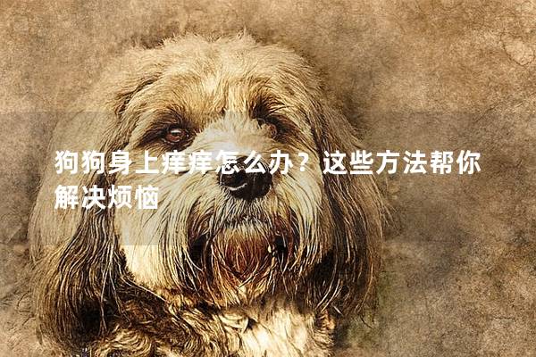 狗狗身上痒痒怎么办？这些方法帮你解决烦恼