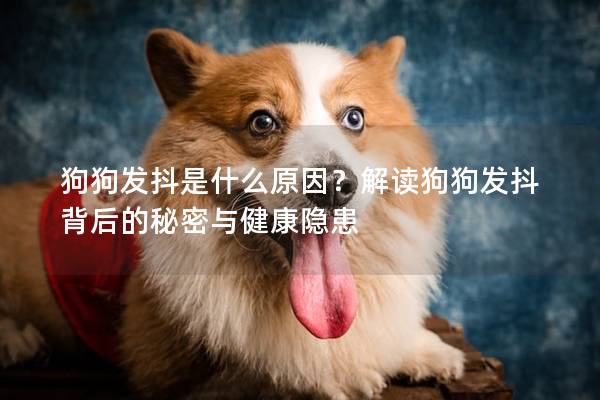 狗狗发抖是什么原因？解读狗狗发抖背后的秘密与健康隐患