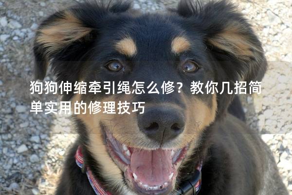 狗狗伸缩牵引绳怎么修？教你几招简单实用的修理技巧