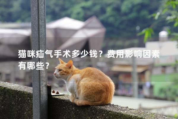 猫咪疝气手术多少钱？费用影响因素有哪些？